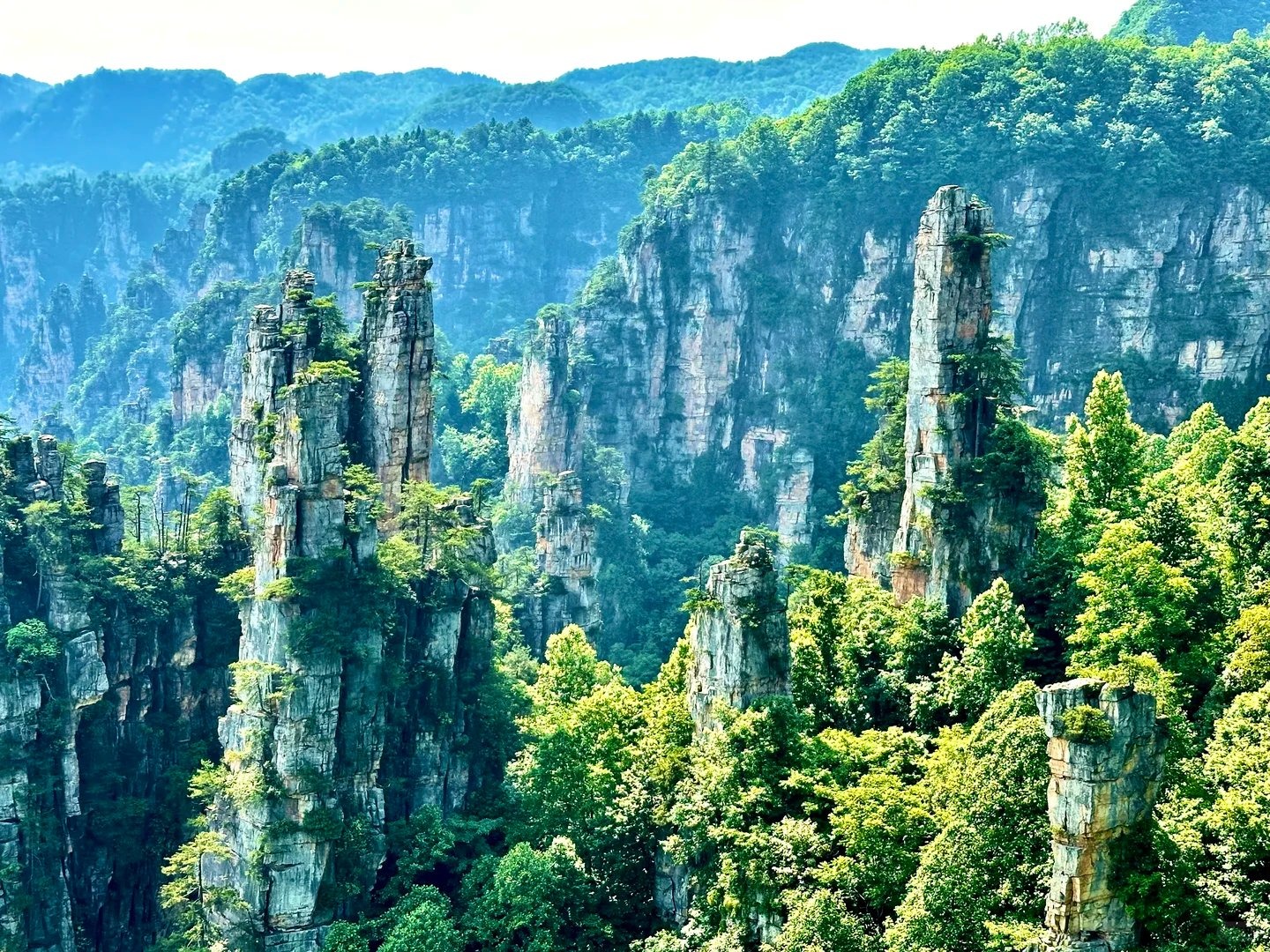 Avatar mountains sandstone pillars in Zhangjiajie National Forest Park