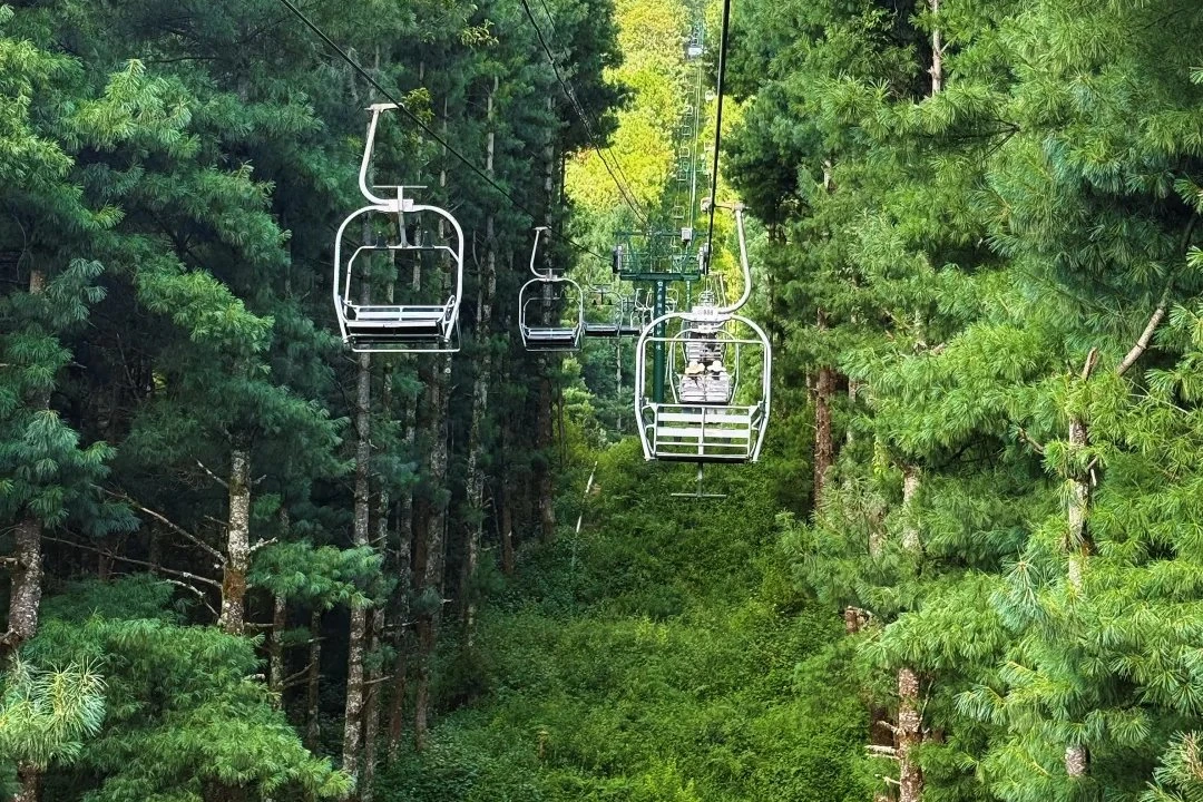 Zhonghe Cable Car riding through Cangshan Mountain forest