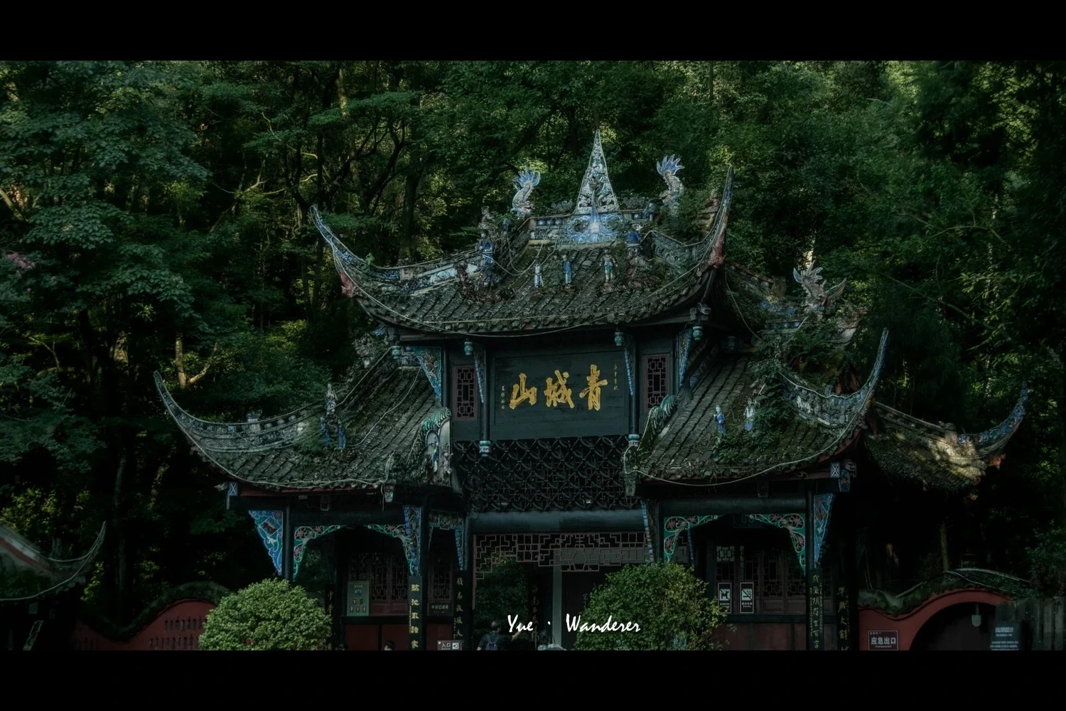 Mount Qingcheng's historic Taoist temple gate tucked into a lush green mountain forest