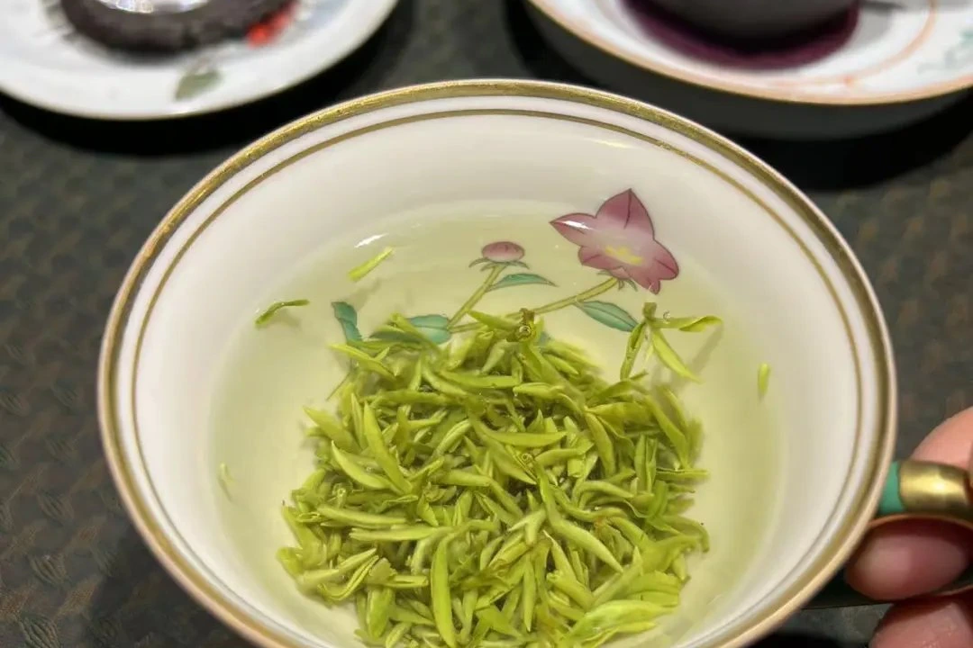 Biluochun green tea (碧螺春) — famous Suzhou-area green tea, leaves unfurling in water